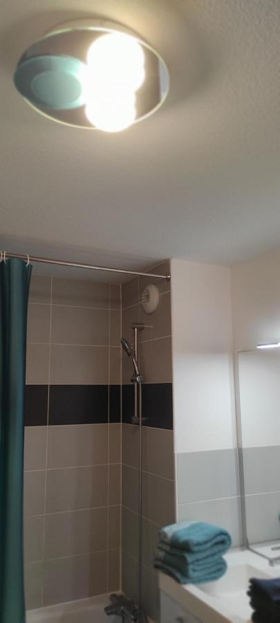 Grand Appartement 2 Chambres Avec Terrasse Bordeaux Ngoại thất bức ảnh