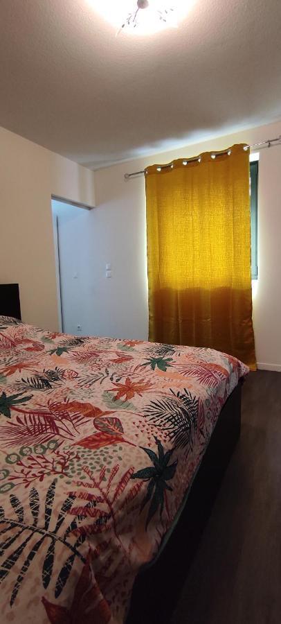 Grand Appartement 2 Chambres Avec Terrasse Bordeaux Ngoại thất bức ảnh
