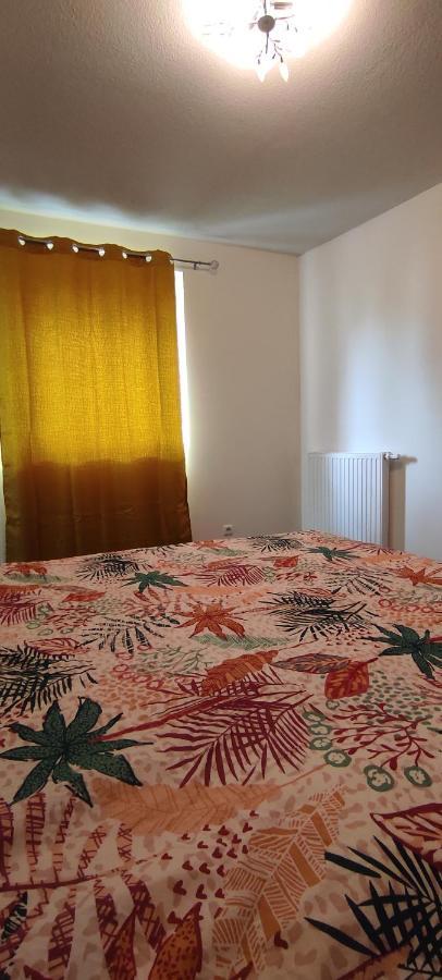 Grand Appartement 2 Chambres Avec Terrasse Bordeaux Ngoại thất bức ảnh