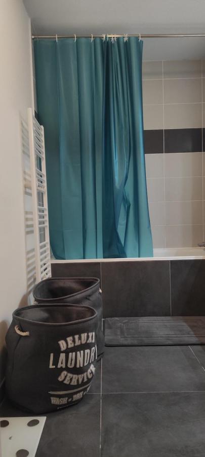 Grand Appartement 2 Chambres Avec Terrasse Bordeaux Ngoại thất bức ảnh